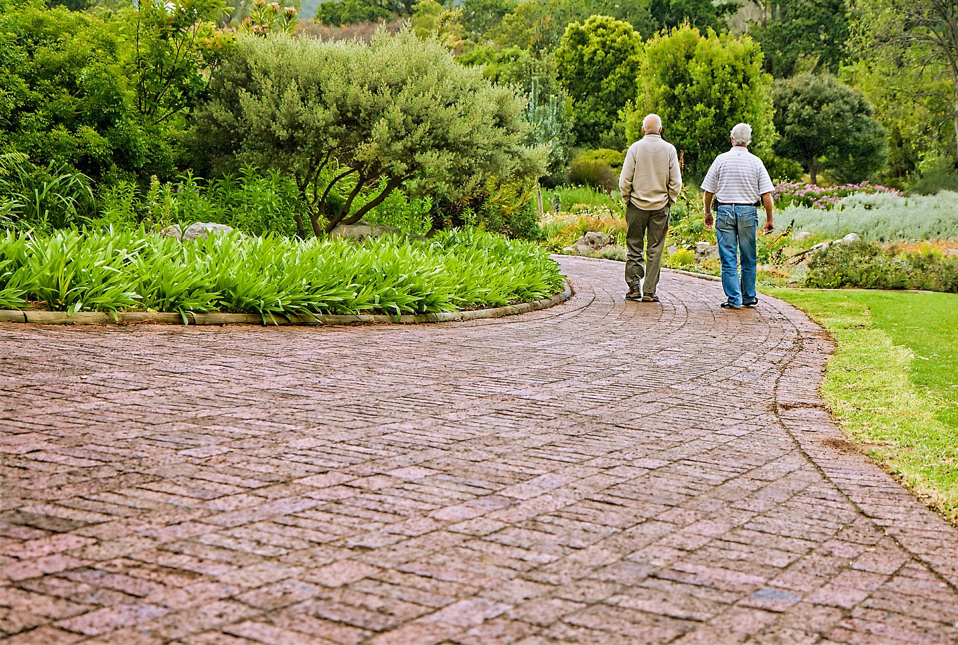 Frequent, Brisk Walks May Aid Those with Early Alzheimer’s